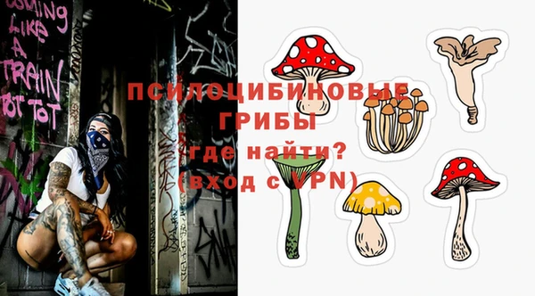 тгк Пестово