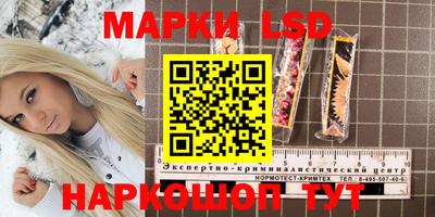 индика Тулун