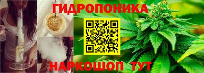 амф Тула
