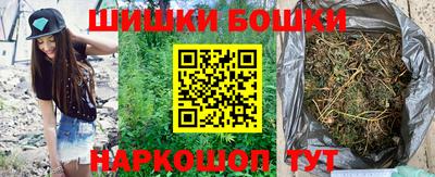 индика Тулун