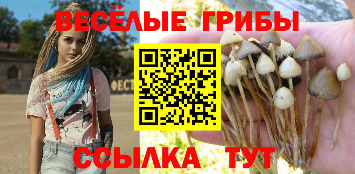 Дюртюли  Галлюциногенные грибы прущие грибы  Вход с VPN 